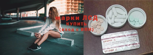 СК Инта