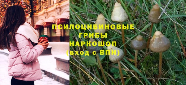 СК Инта