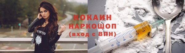 СК Инта
