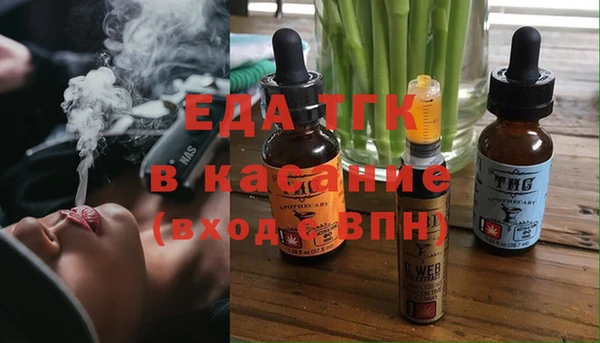 СК Инта