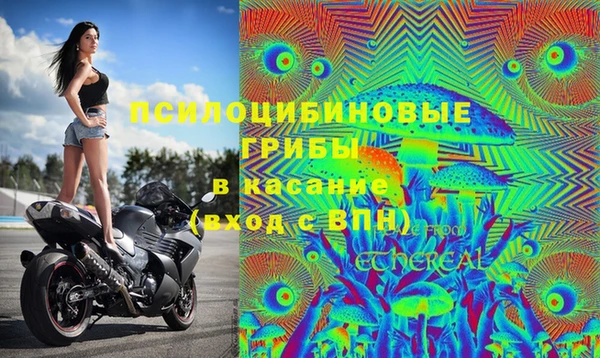 СК Инта