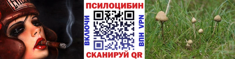 Псилоцибиновые грибы Psilocybine cubensis  Купить закладки  Хадыженск 